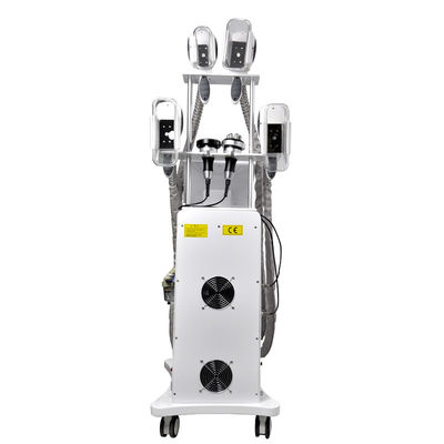 Fetter Frost Cryolipolysis , das Maschine 800W Soem abnimmt