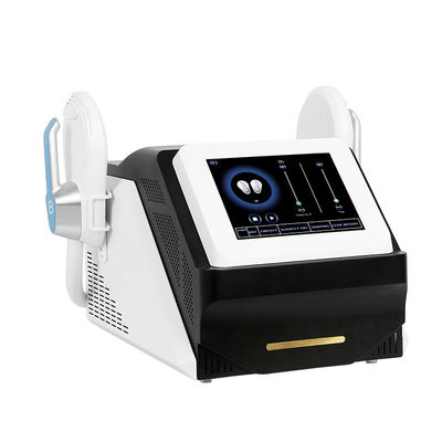 Schwarzer Abnehmenmuskel der schönheits-Maschinen-3000W  errichten -Körper, der Doppelgriffe umreißt