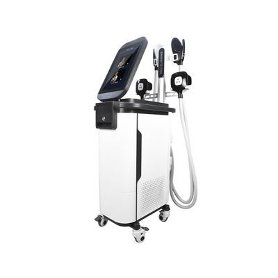 2 in 1 Körper-Sculpting Maschine  4 Ems Cryo behandelt muskulöse Maschine Estimulador