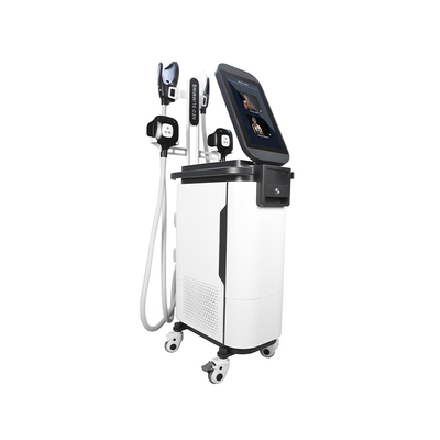 2 in 1 Körper-Sculpting Maschine  4 Ems Cryo behandelt muskulöse Maschine Estimulador