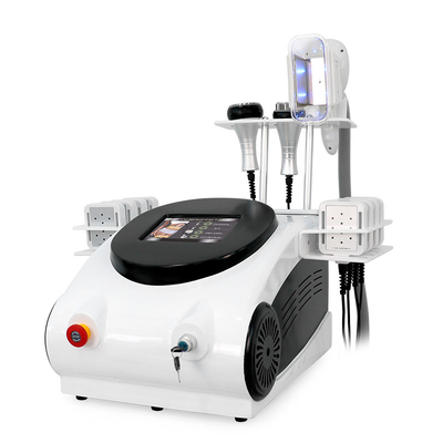 Professionelle 4 IN 1 Freeze Beauty Lipo Laser Schlankheitsmaschine