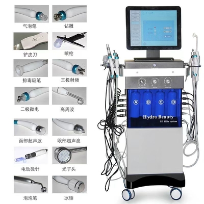 14 in 1 Hydrofacial Dermabrasion große Blase Sauerstoffspray Gesichts LED Hautverjüngungsmaschine