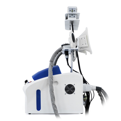 Professionelle Kryolipolyse Fettentfernung Kryo Cellulite Reduktion Fett Einfrieren Maschine Körper Schlankheitsmaschine
