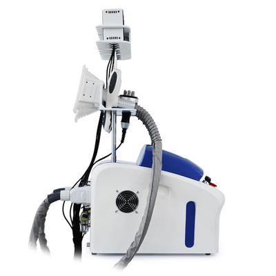 Professionelle Kryolipolyse Fettentfernung Kryo Cellulite Reduktion Fett Einfrieren Maschine Körper Schlankheitsmaschine