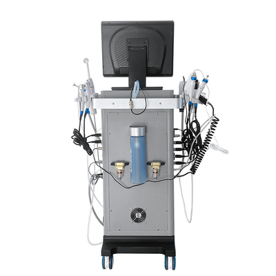 15 in 1 Hydra Dermabrasion Wasser Gesichtsvakuum Schwarzkopf Entfernen Hydro Mikrodermabrasion Maschine