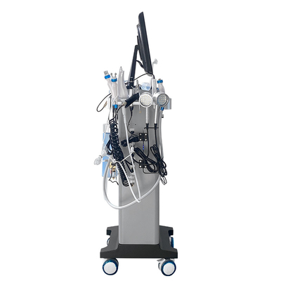 15 in 1 Hydra Dermabrasion Wasser Gesichtsvakuum Schwarzkopf Entfernen Hydro Mikrodermabrasion Maschine