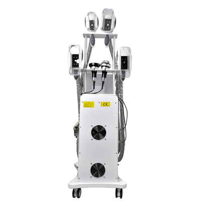 360-Cryolipolyse-Maschine für das Fettfrieren Maschine zum schnellen Abnehmen