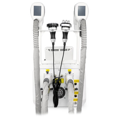 4 in 1 nicht-invasive Schmerzlose tragbare 4 Handgriffe Heim- und Gewerbezweck Cryo Freezing Beauty Machine Schlankheitsschönheitsmaschine