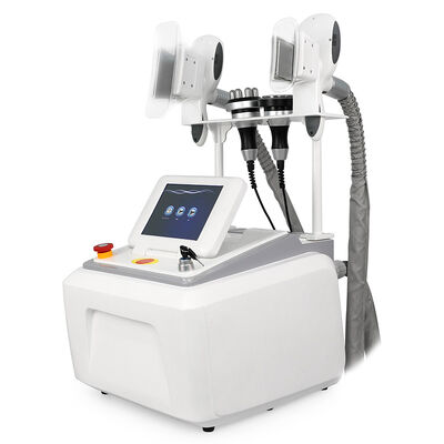 4 in 1 nicht-invasive Schmerzlose tragbare 4 Handgriffe Heim- und Gewerbezweck Cryo Freezing Beauty Machine Schlankheitsschönheitsmaschine