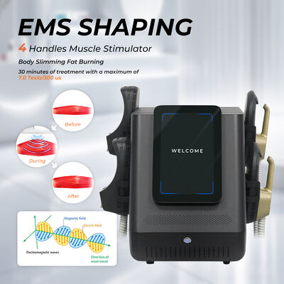 Portable EMS Body Sculpting Machine mit 2800W Ausgangsleistung 12-Zoll-Bildschirm und EMSlim-Technologie für Muskelstimulation