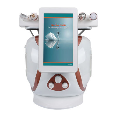 8 In 1 Wasserstoff Sauerstoff Kleine Blase Hydrafacial Maschine Multifunktionale Gesichtspflege Salon Ausrüstung