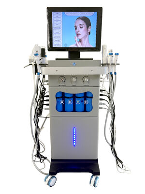 18-in-1 Aqua Exfoliate Oxygen Nourish Repair Facial Bright Spa Professionelles Gerät
