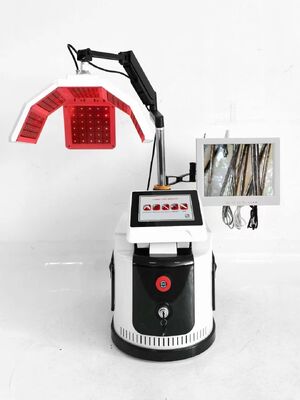 Desktop-Kopfhauterkennungs-Haarwachstumsmaschine Rotes PDT-Licht Anti-Haarausfall-Salon-Schönheitsausrüstung