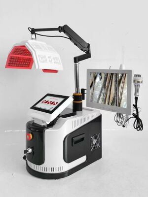 Desktop-Kopfhauterkennungs-Haarwachstumsmaschine Rotes PDT-Licht Anti-Haarausfall-Salon-Schönheitsausrüstung